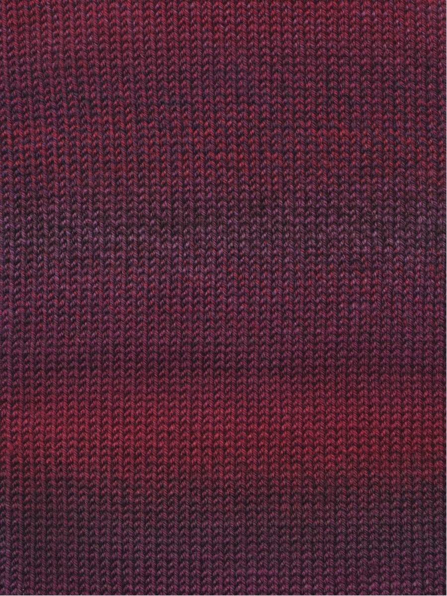 E-BRIS-23.jpg